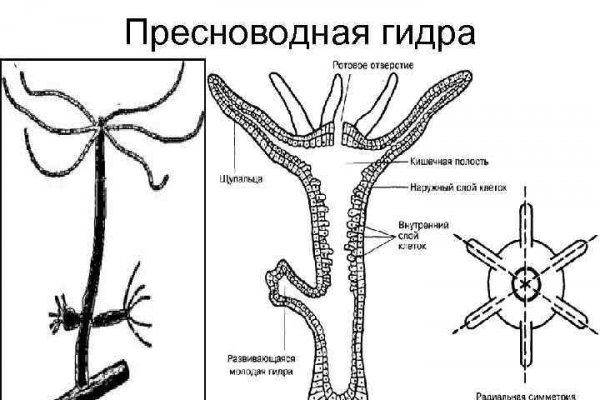 Кракен шоп нарк