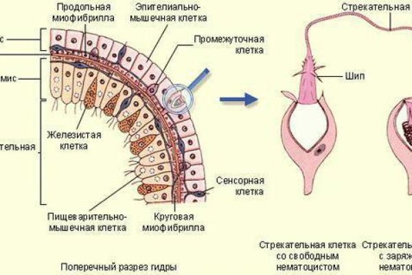 Как купить через кракен