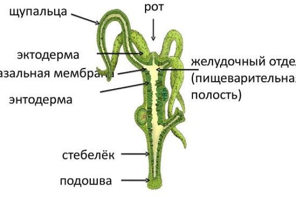 Кракен оф сайт